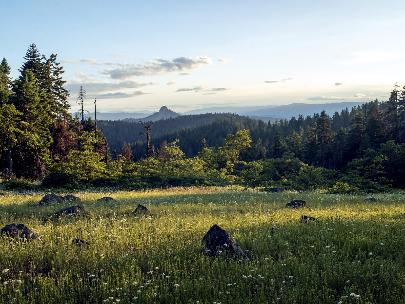 Afternoon Shadows, Cascade-Siskiyou National Monument, Jackson County, Oregon