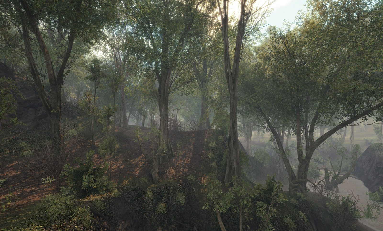 Black Creek