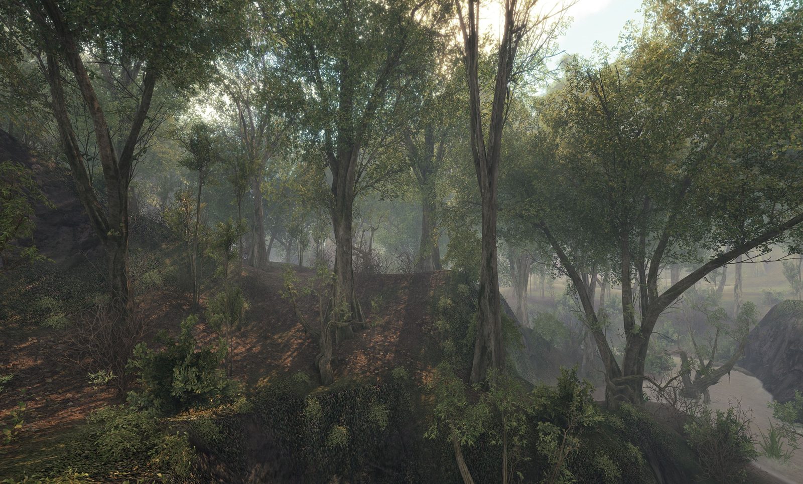 Black Creek