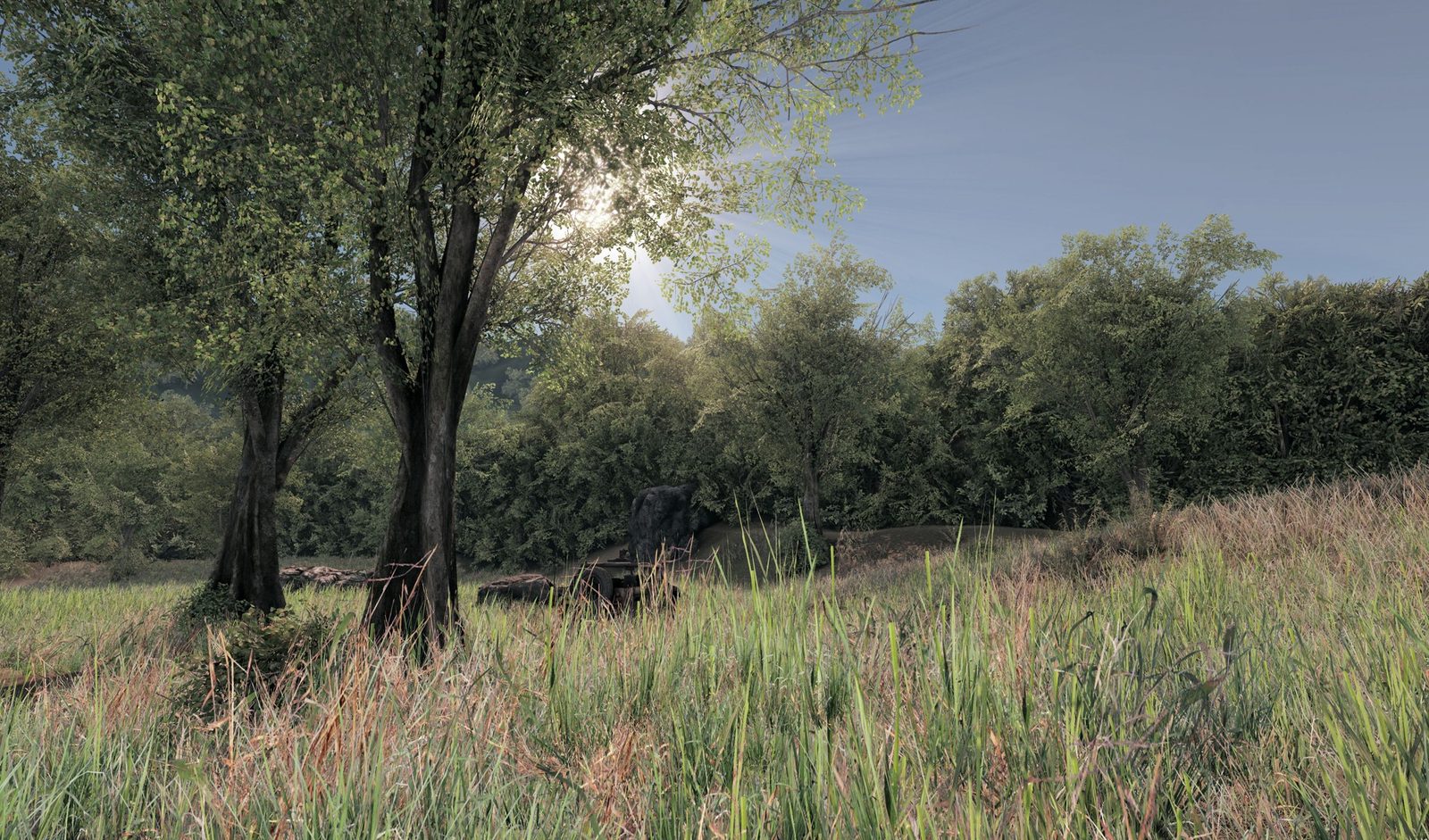 Bottsford Hollow