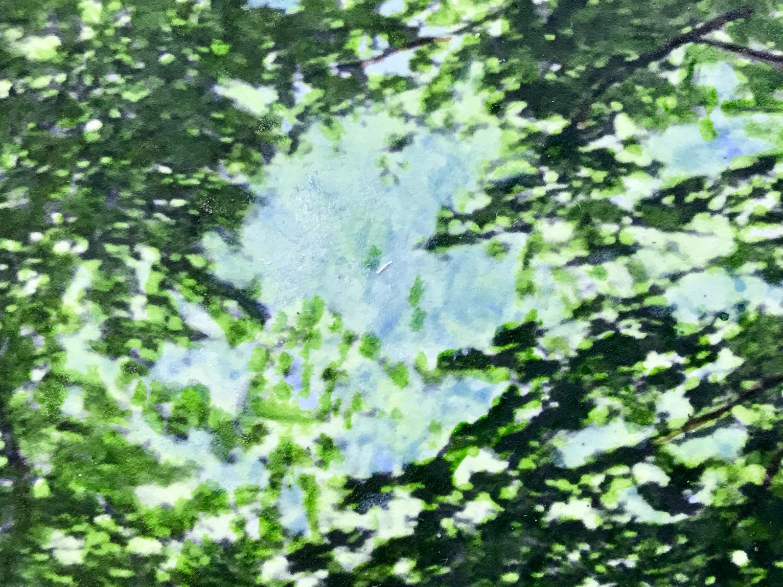 Near Indiana Creek, detail 1