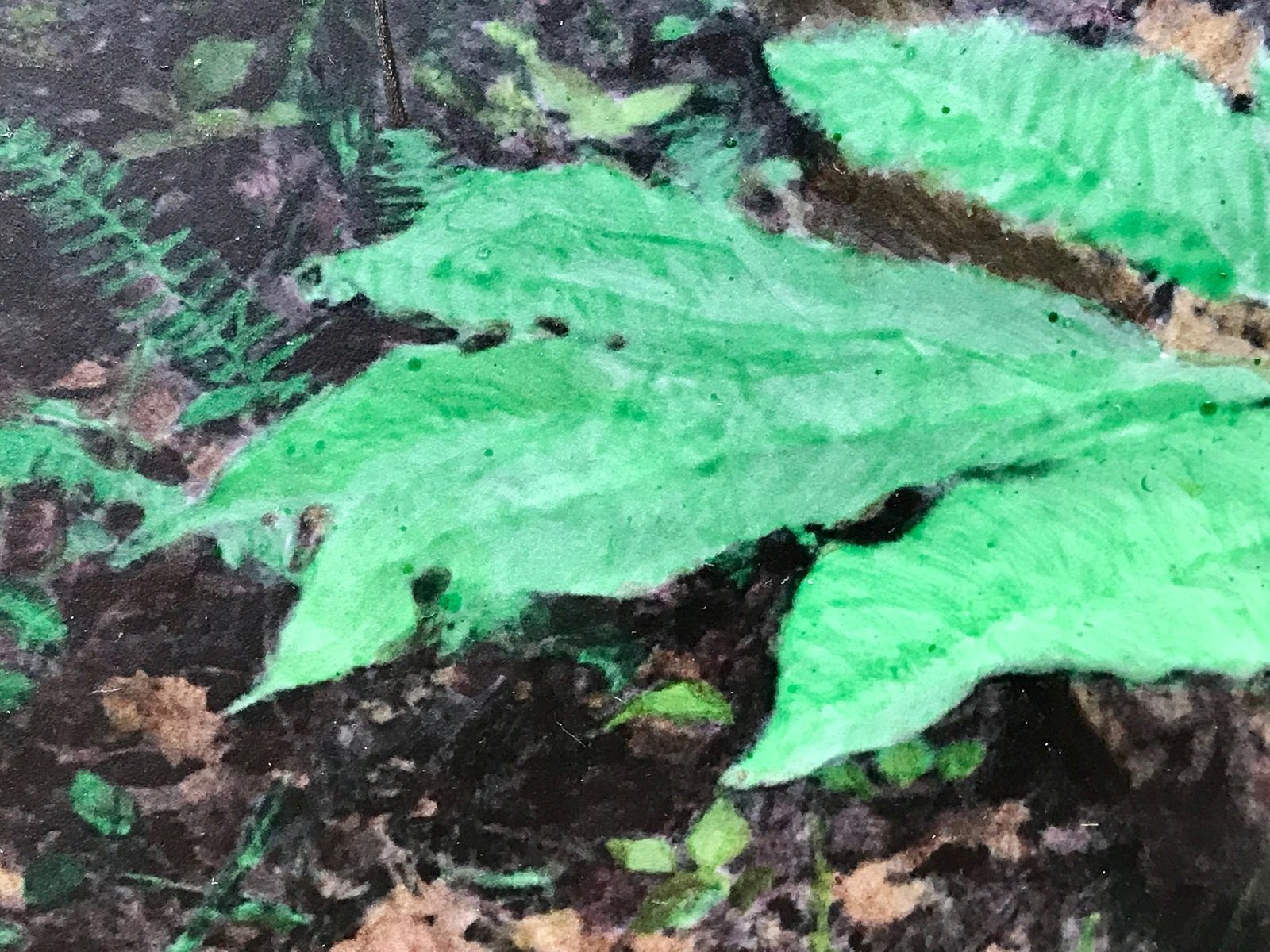 Near Indiana Creek, detail 2