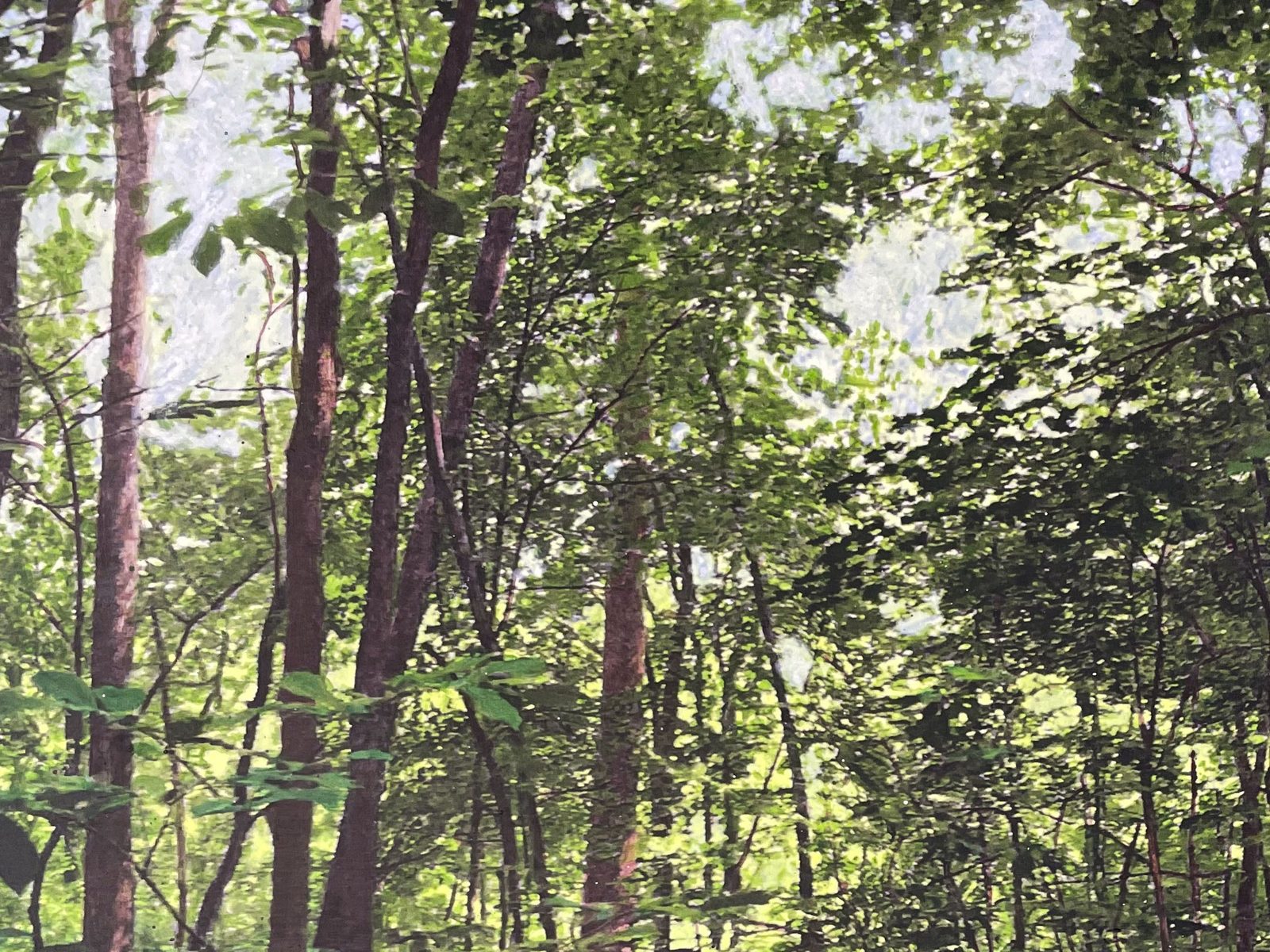 Near Indiana Creek, detail 4