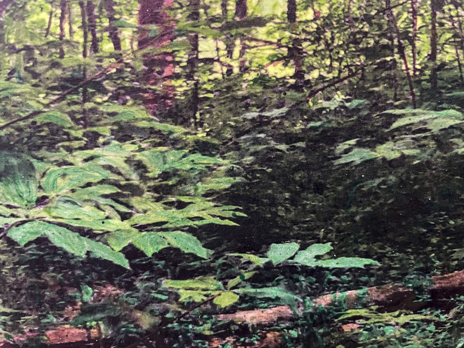 Near Indiana Creek, detail 5
