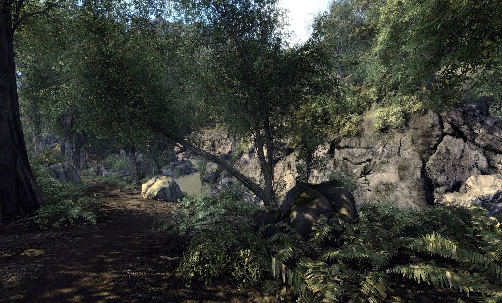 Rush Creek